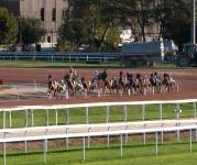 Régis GUEGUEN - Réphoto