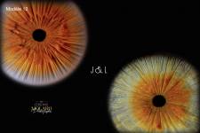 Jérémie MOLARO - F & F PHOTOGRAPHIE